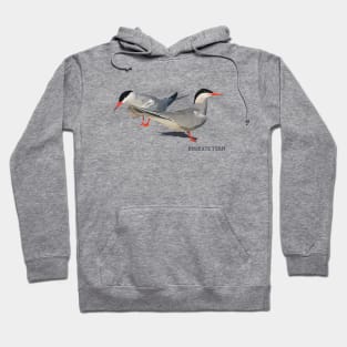 Roseate Tern Hoodie